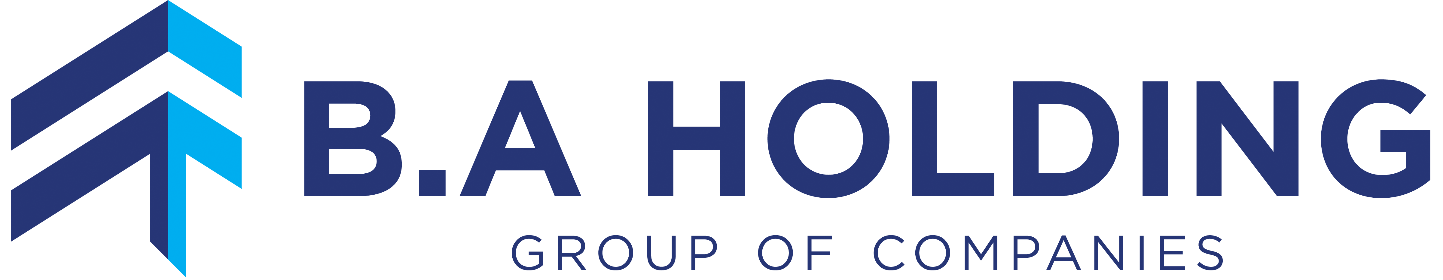 B.A. Holding